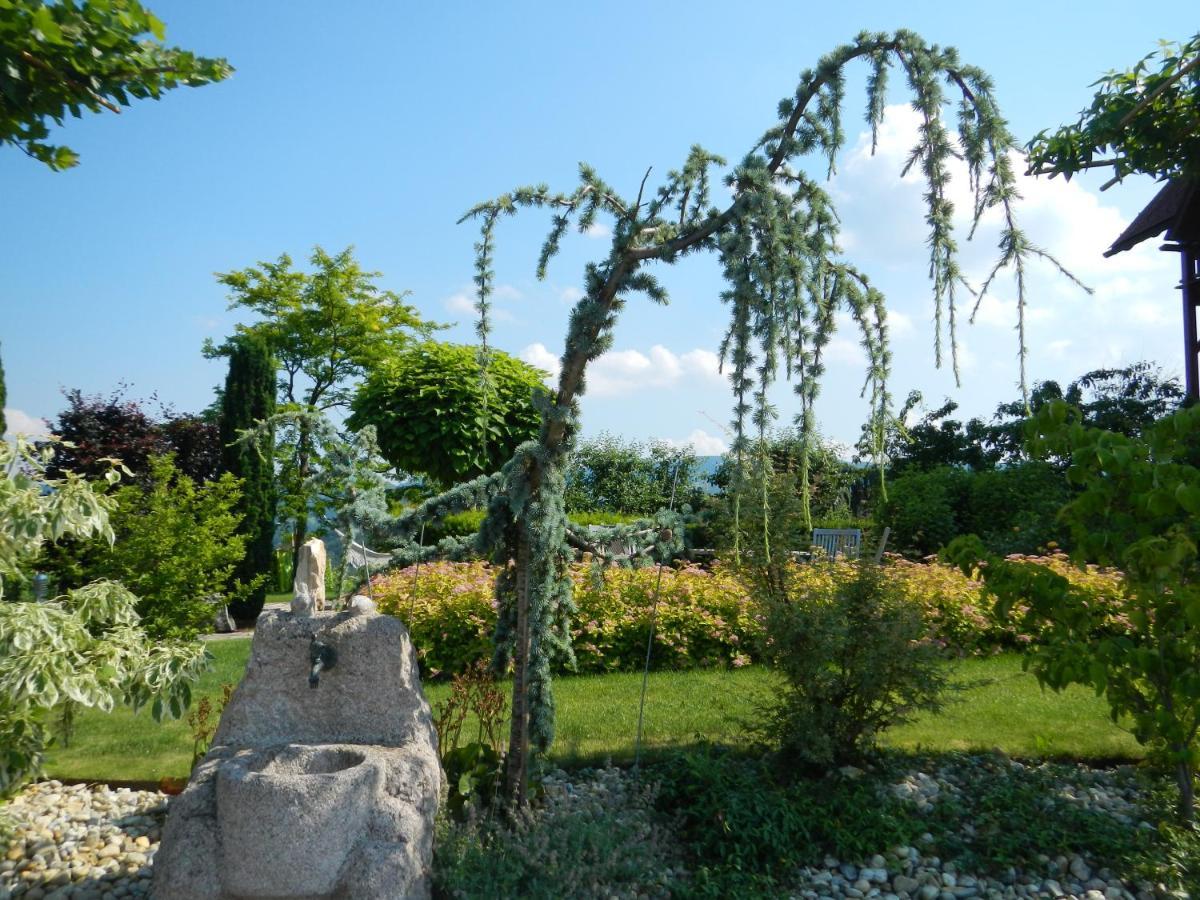 Weingut Essgut Schlafgut Sabathihof-Dillinger Hotel Glanz an der Weinstraße Exterior photo