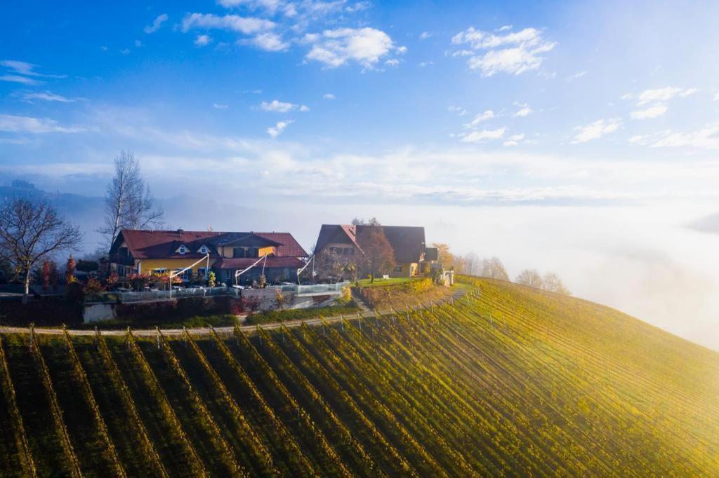 Weingut Essgut Schlafgut Sabathihof-Dillinger Hotel Glanz an der Weinstraße Exterior photo