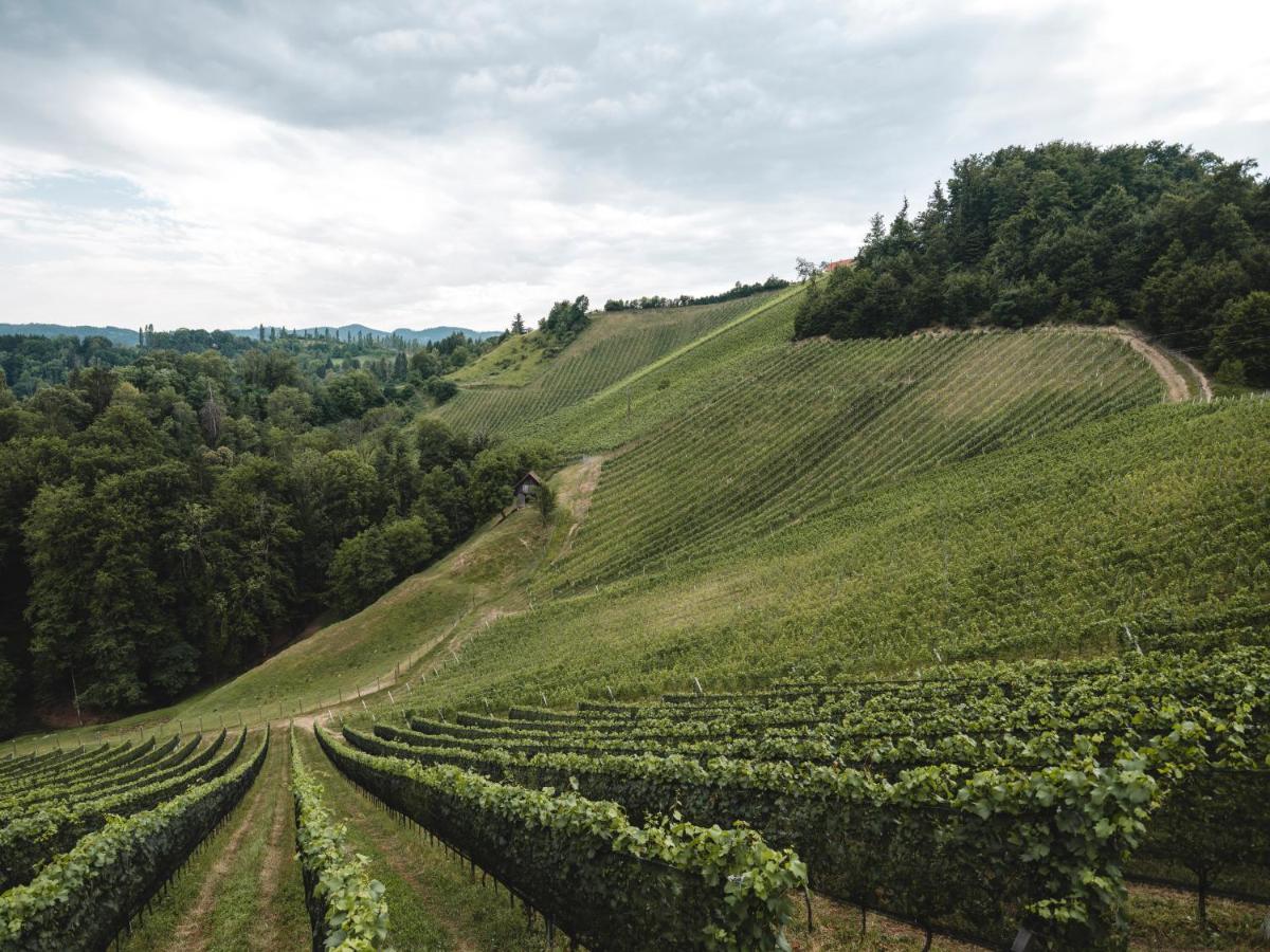 Weingut Essgut Schlafgut Sabathihof-Dillinger Hotel Glanz an der Weinstraße Exterior photo